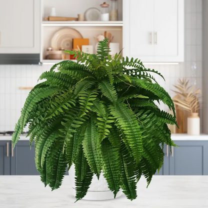 🔥Last Day 50% OFF--🌿UV Resistant Lifelike Artificial Boston Fern