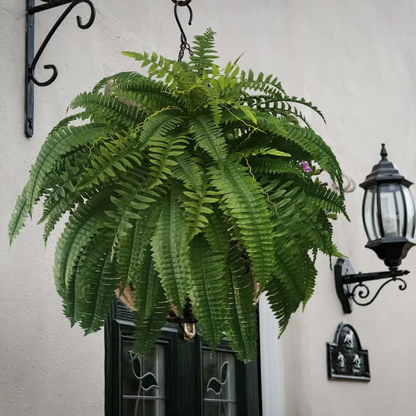 🔥Last Day 50% OFF--🌿UV Resistant Lifelike Artificial Boston Fern