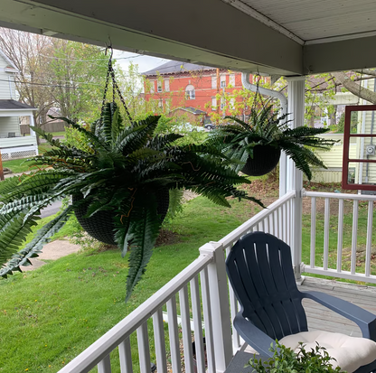 🔥Last Day 50% OFF--🌿UV Resistant Lifelike Artificial Boston Fern