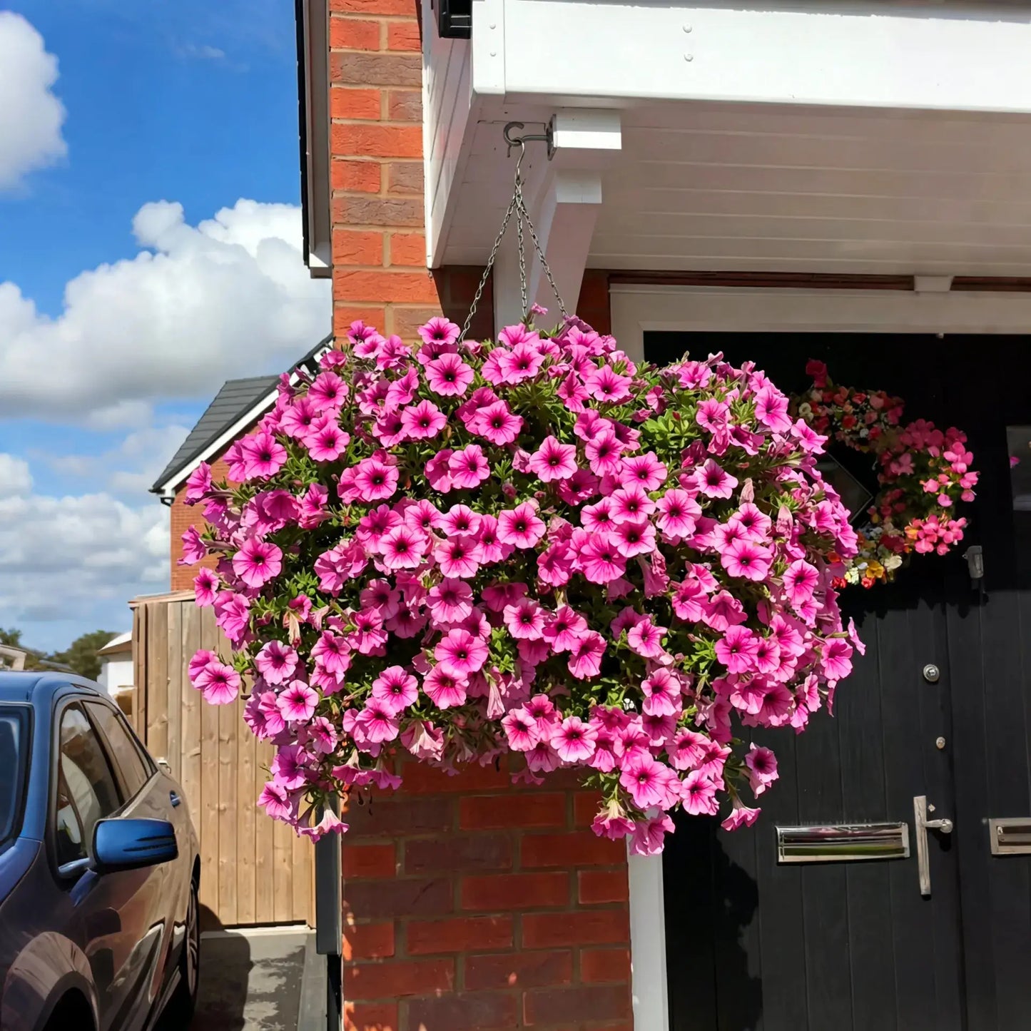 🔥ONLY $19.99🔥UV Resistant Artificial Petunias Flowers