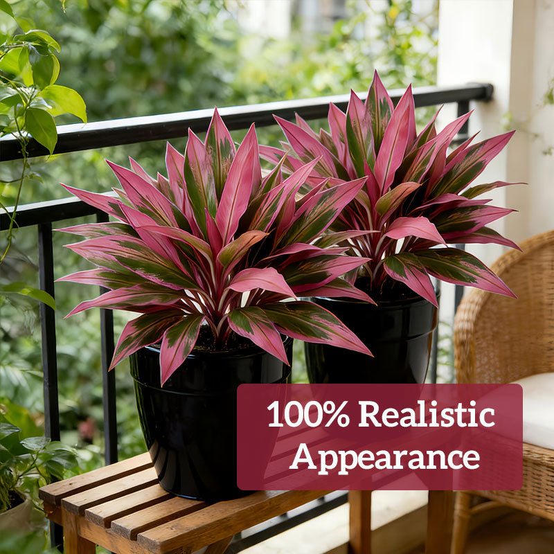🔥 Mother's Day Special Offer-LAST DAY 50% OFF! 🏡🌿Artificial Red Cordyline Ti Plant – No-Fuss Year-Round Vibrant Foliage!