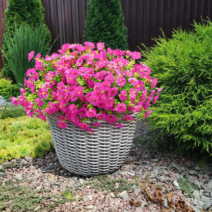 🔥ONLY $19.99🔥UV Resistant Artificial Petunias Flowers