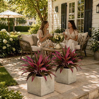 🔥 Mother's Day Special Offer-LAST DAY 50% OFF! 🏡🌿Artificial Red Cordyline Ti Plant – No-Fuss Year-Round Vibrant Foliage!