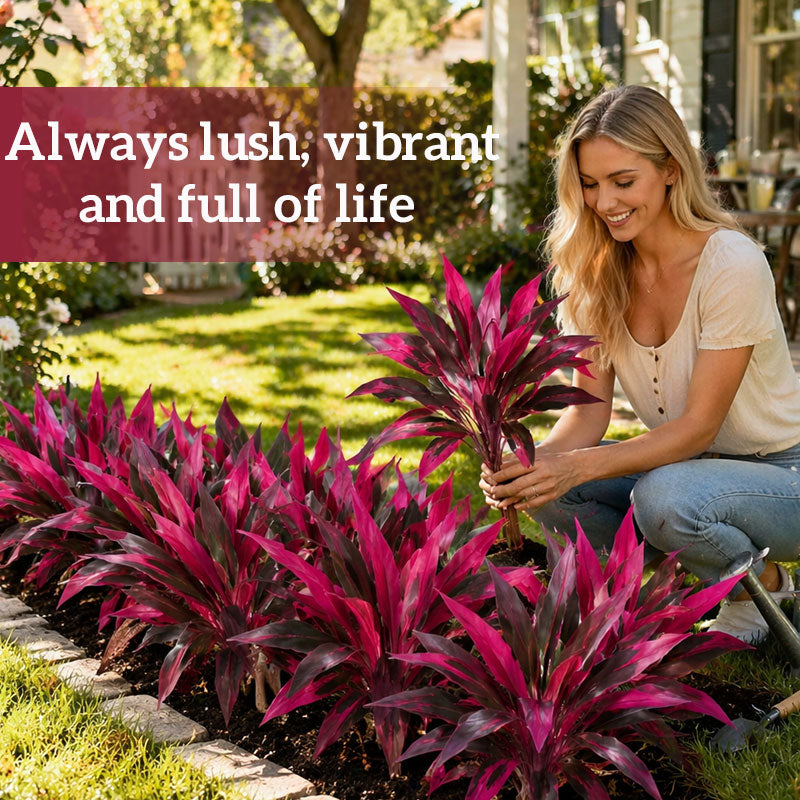🔥 Mother's Day Special Offer-LAST DAY 50% OFF! 🏡🌿Artificial Red Cordyline Ti Plant – No-Fuss Year-Round Vibrant Foliage!