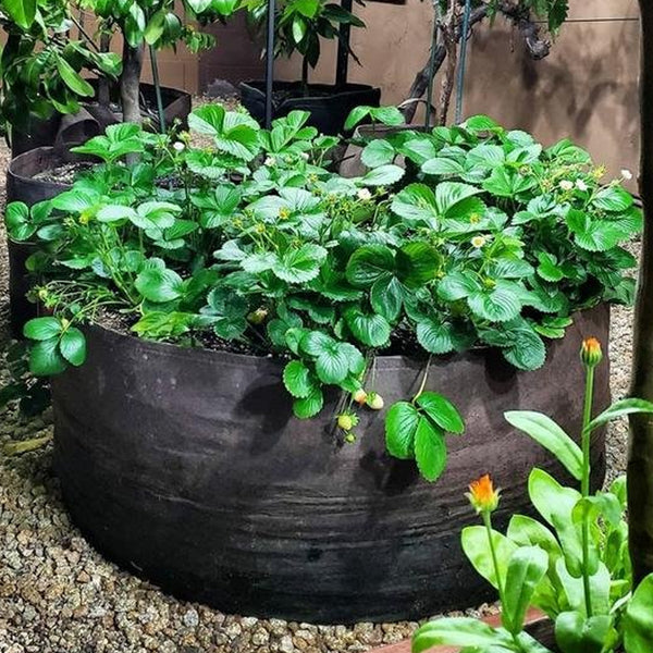 【🌱Spring sale】Breathable Large Garden Planting Bed