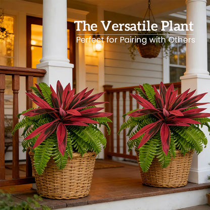 🔥 Mother's Day Special Offer-LAST DAY 50% OFF! 🏡🌿Artificial Red Cordyline Ti Plant – No-Fuss Year-Round Vibrant Foliage!