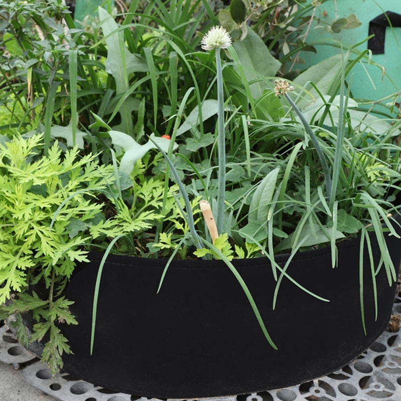 【🌱Spring sale】Breathable Large Garden Planting Bed