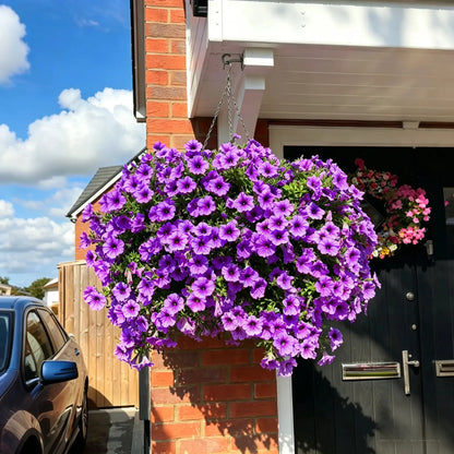 🔥ONLY $19.99🔥UV Resistant Artificial Petunias Flowers