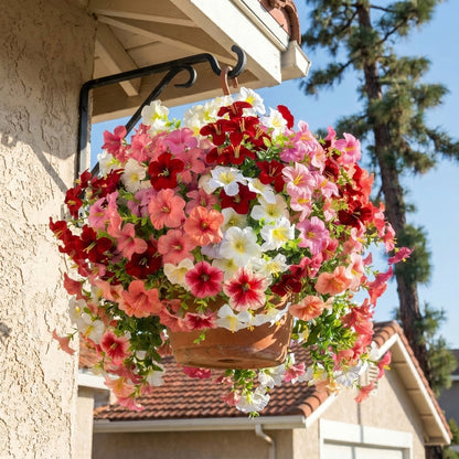 🔥ONLY $19.99🔥UV Resistant Artificial Petunias Flowers